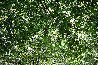 《暗黑破坏神2：重制版》年度数据：玩家死亡数量达4亿